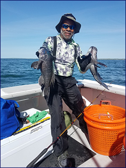 Starting in late May, Bluefin Charters starts fishing the waters off Cape Cod's south side, Nantucket Sound, Martha's Vineyard, Vineyard Sound, and beyond for bottom fish (black sea bass and scup, or fluke), as well as striped bass and bluefish.