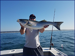 Charter Fishing the south side of Cape Cod for bluefin tuna, striped bass, bluefish, sharks and mor with Bluefin Charters out of Falmouth MA