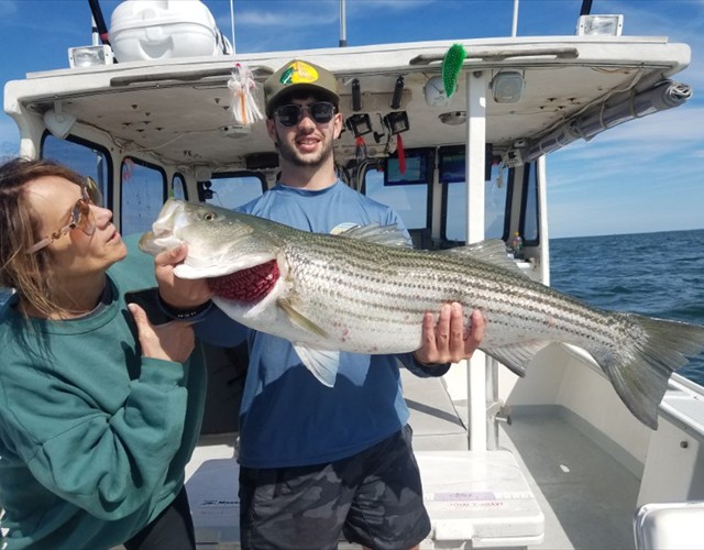 Big striped bass!