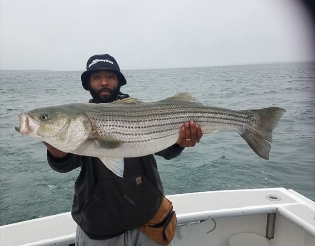 Another beautifull striper