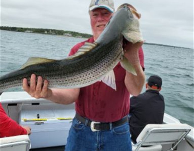 Big striped bass!
