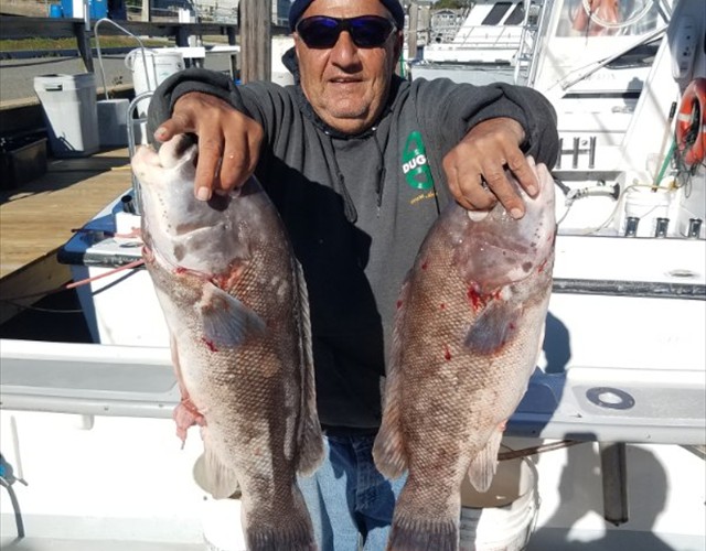 A nice pair of tataug