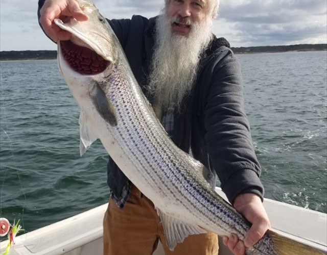 Nice fish!