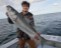 Another nice striper caught with Bluefin Charters