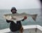 Another beautifull striper