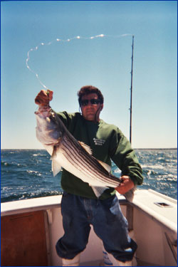 Nice striped bass caught with Bluefin Charters!