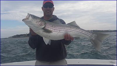 Cape Cod fishing charter for black sea bass